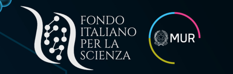 FIS, Fondo Italiano per la Scienza